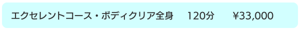 salondeG&G_エクセレントボディクリア全身コース