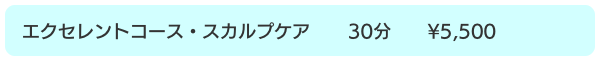 salondeG&G_エクセレントスカルプケアコース